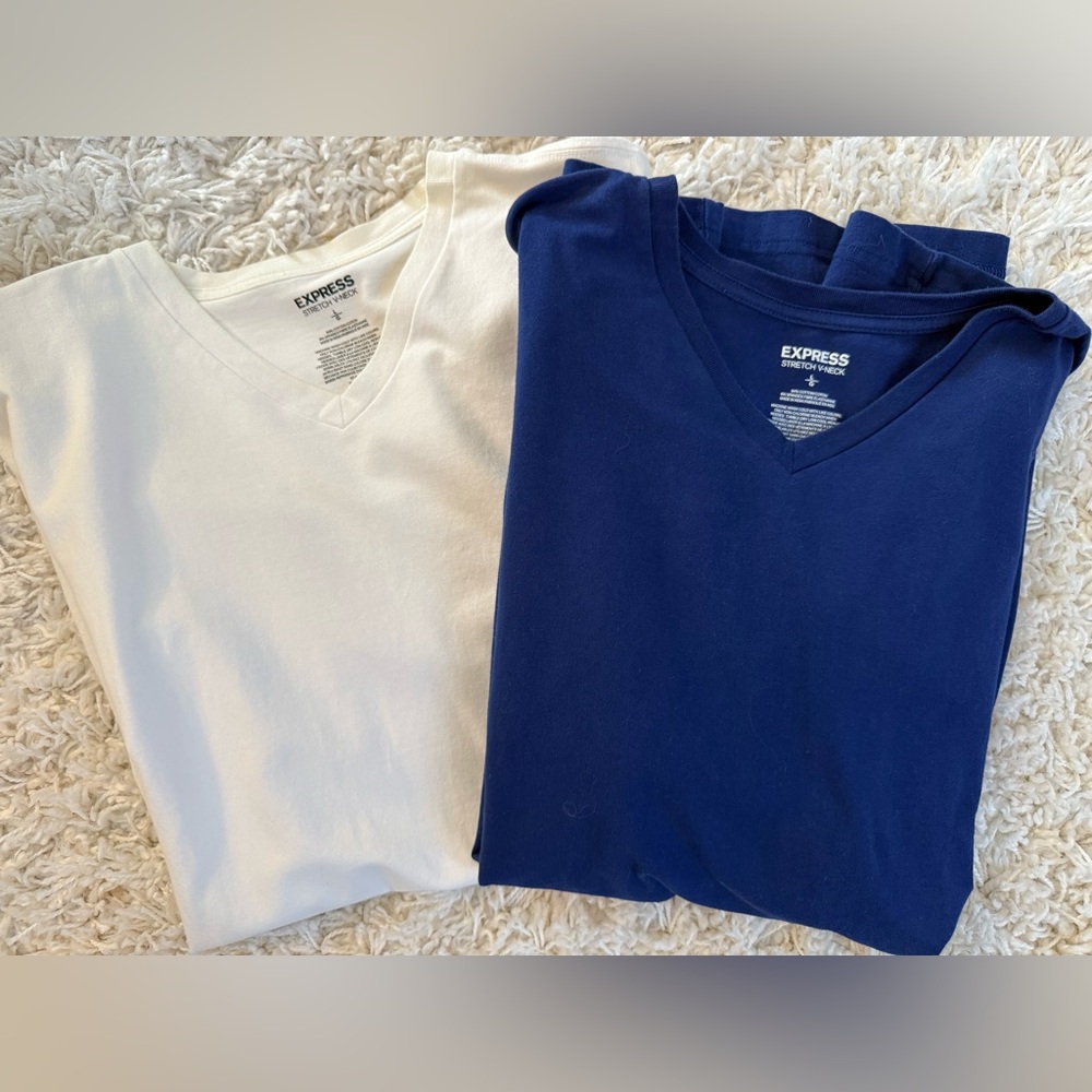 Express mens V-Neck Tees - White and Navy